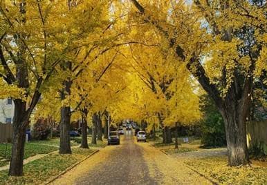 Primary Photo - Great Area close to Chevy Chase
