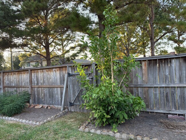 Building Photo - 5322 Barleycorn Ln