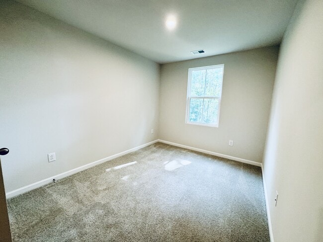 Building Photo - 247 Christiana Ln