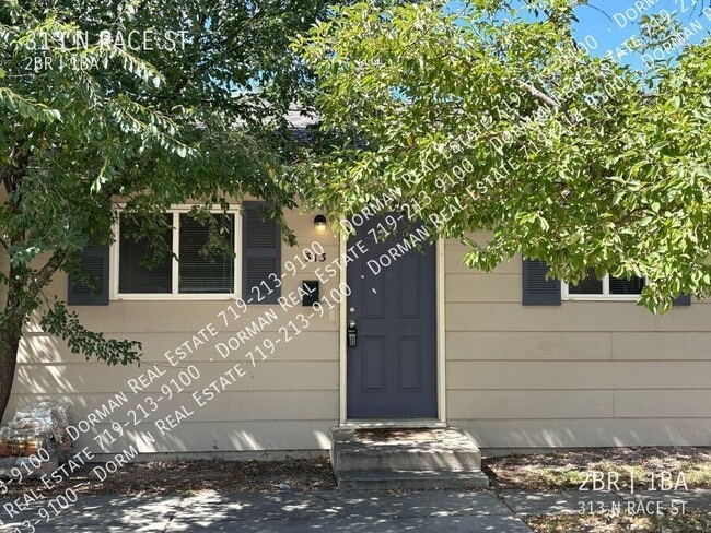 Building Photo - 313 N Race St