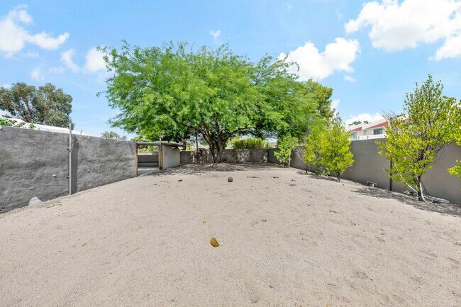 Building Photo - Luxury housing ,Close to U of A! Newly Renovated