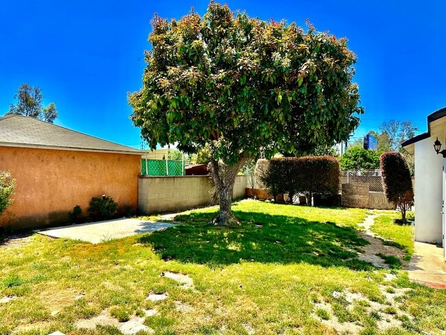 Building Photo - Single Family Home w/Backyard - 3 Bed/1 Bath