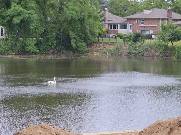 Building Photo - 640 Derby Ave