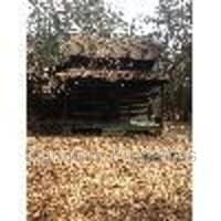 Building Photo - 1078 Arrington Trail