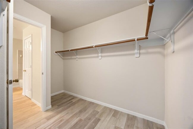 Building Photo - 29319 Alba Rose Dr