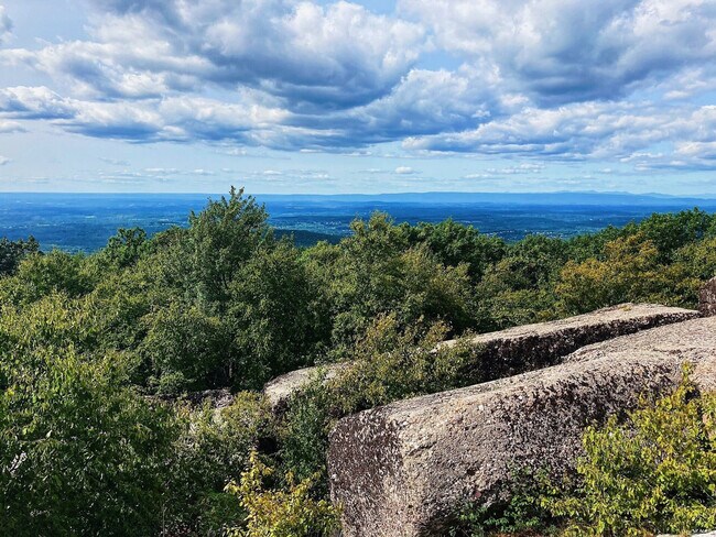 Building Photo - 338 Clove Rd