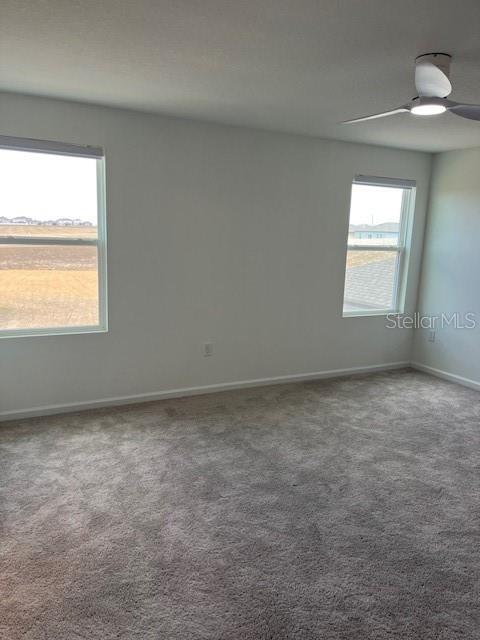 Building Photo - 2504 Peony Pl