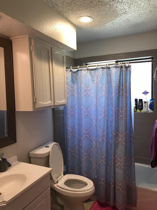 Building Photo - 2800 Springleaf Ct