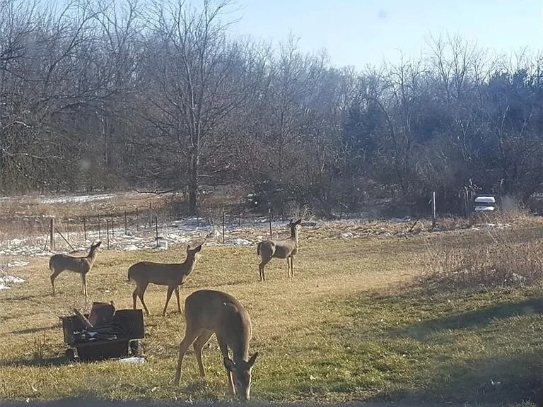 Building Photo - 4792 Pyrmont Rd