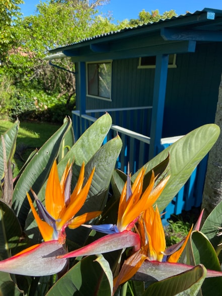 Building Photo - 45-663-663 Lehua St