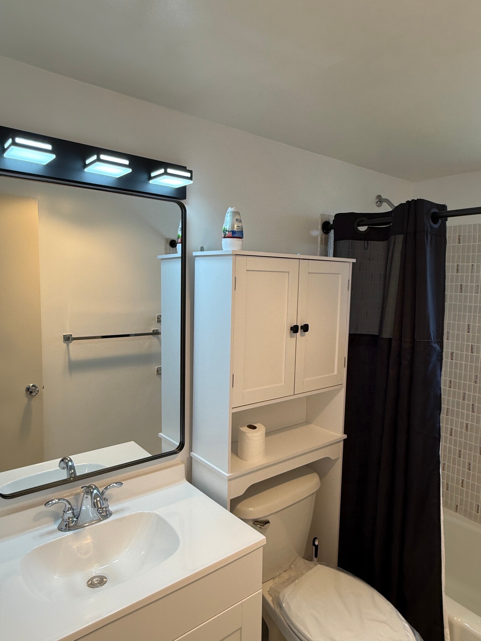 Bathroom remodel with new Fixtures - 2960 Lake Osborne Dr