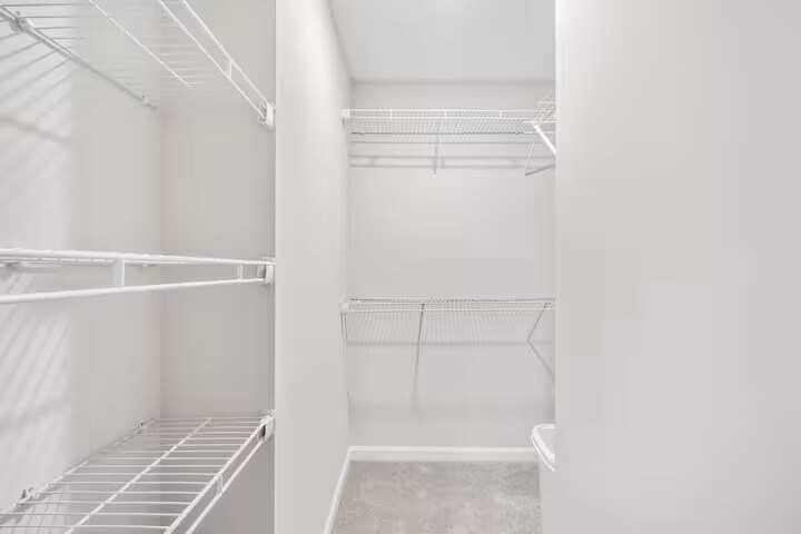 Building Photo - Room in Townhome on Kings Mountain St