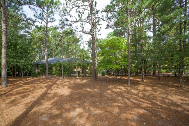 Building Photo - Gorgeous Fully Renovated 3 bedroom home in the Heart of Whispering Pines