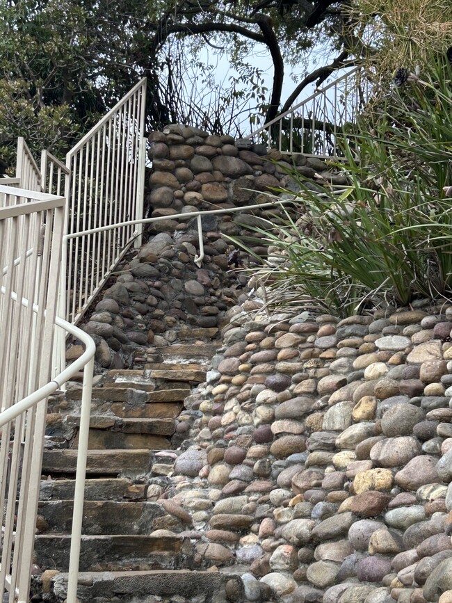 Stairs from street to patio & entry - 3683 Albatross St