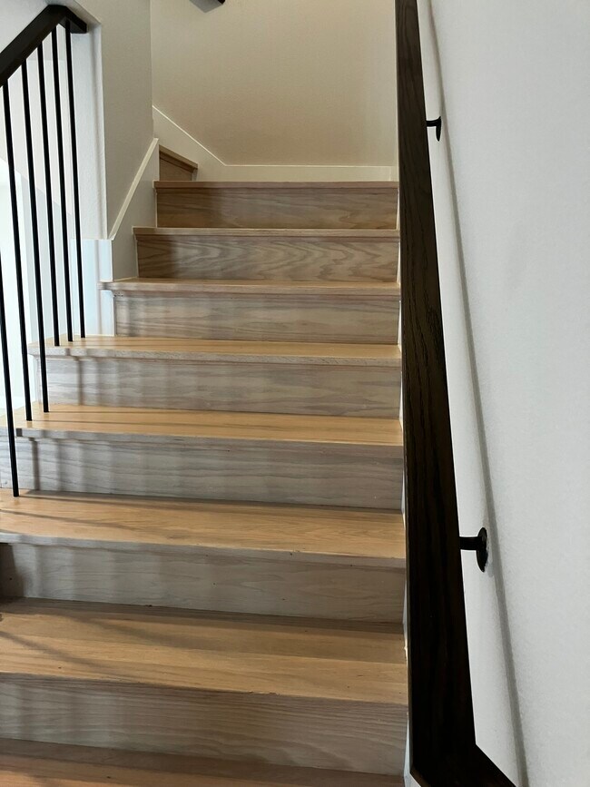 Building Photo - 1225 Marc Pl