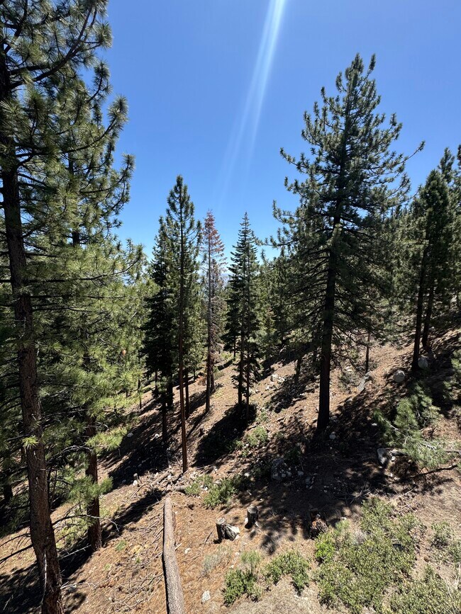 Building Photo - 115 Tramway Dr