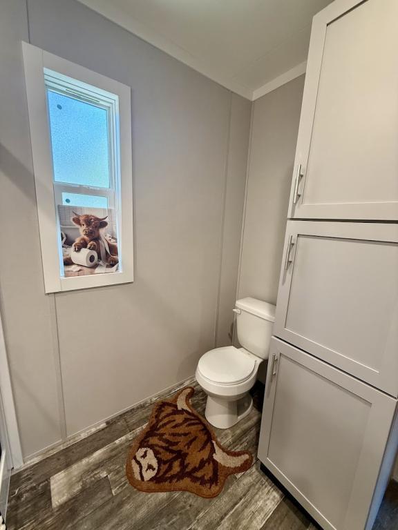 Building Photo - 1808 Sheila Dr