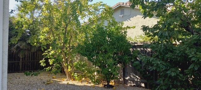 Building Photo - Got Room? - Paradise Valley Home Is Expansive!