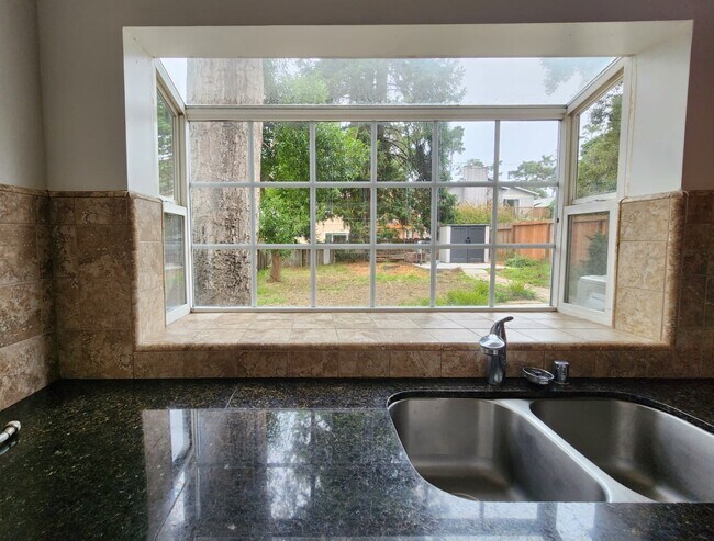 Backyard view from the kitchen - 1208 Lincoln Avenue