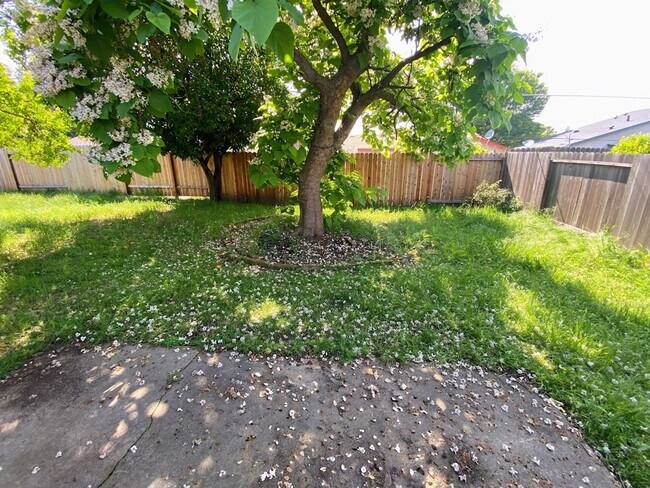Building Photo - 3 Bedroom 2 Bath Home In Rosemont Open House Friday May 8th 4-4:30 PM