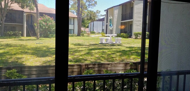 Courtyard from Deck - 1737 Pine Ridge Way W
