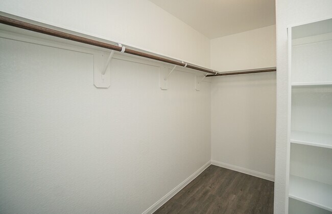 Building Photo - 3331 Rosselli Brush Dr