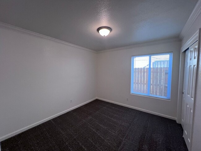 Building Photo - 672 Napa Ct