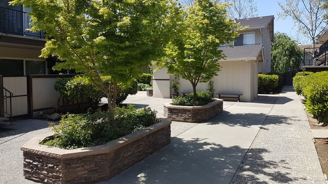 Building Photo - 2 bedroom Renovated unit. West San Jose- s...