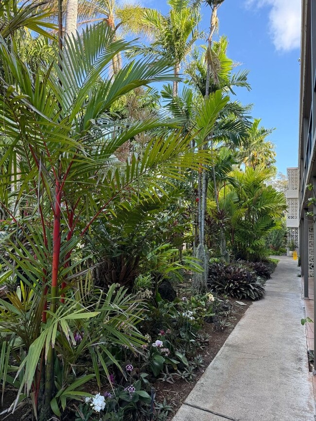 Building Photo - Prince Kuhio