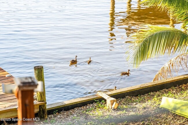 Building Photo - 1428 Rose Ct