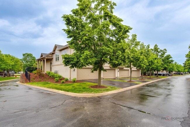 Building Photo - 496 Belvedere Ln