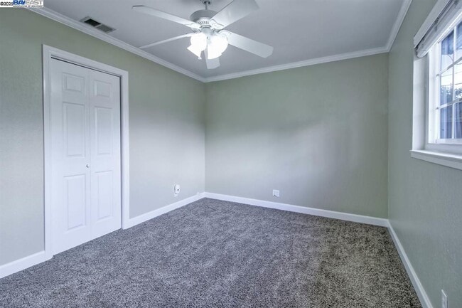 Building Photo - 623 Pineview Dr