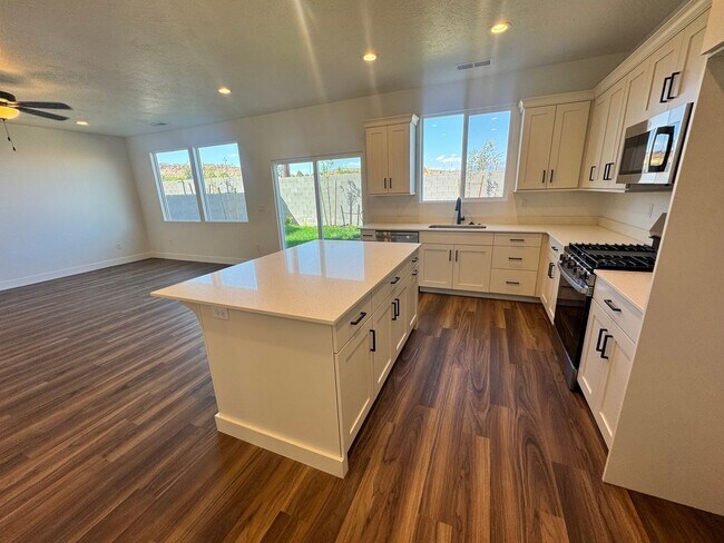 Building Photo - Brand New LARGE S&S Home!!