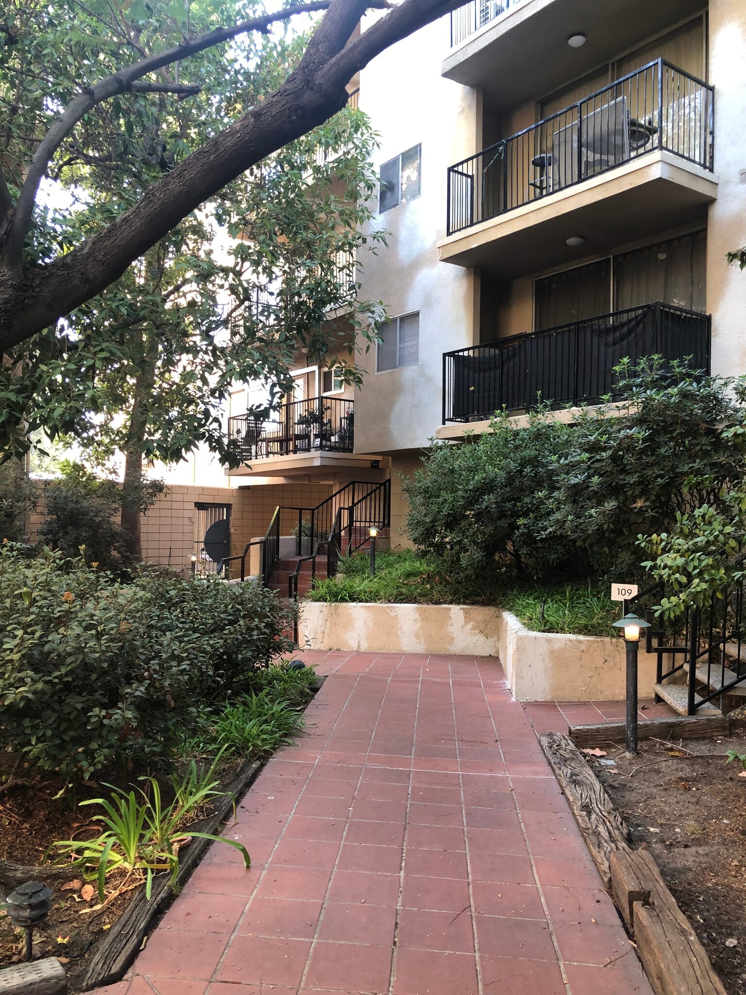 Complex Courtyard - 1115 Cordova St
