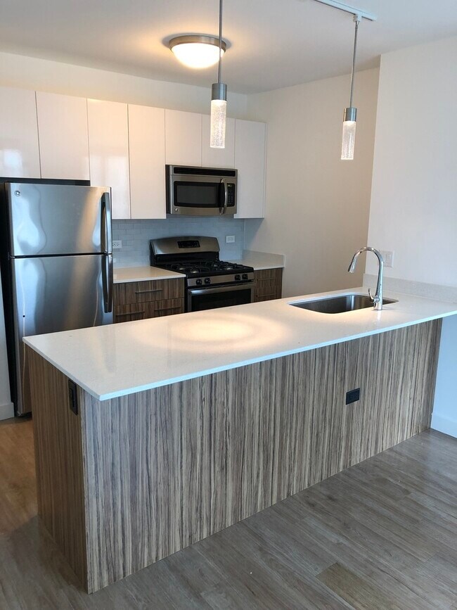 343 W Wolf Point Plaza 343 W Wolf Point Plaza Chicago IL 60654