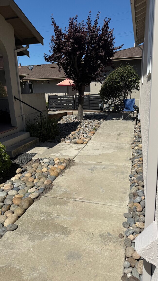 Building Photo - 1019 Castro St