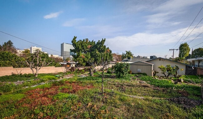 Building Photo - Spacious Updated Single Story - Walk to LLUMC