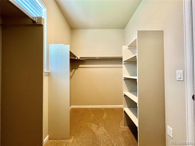 Building Photo - 2331 Lodgepole Creek Dr