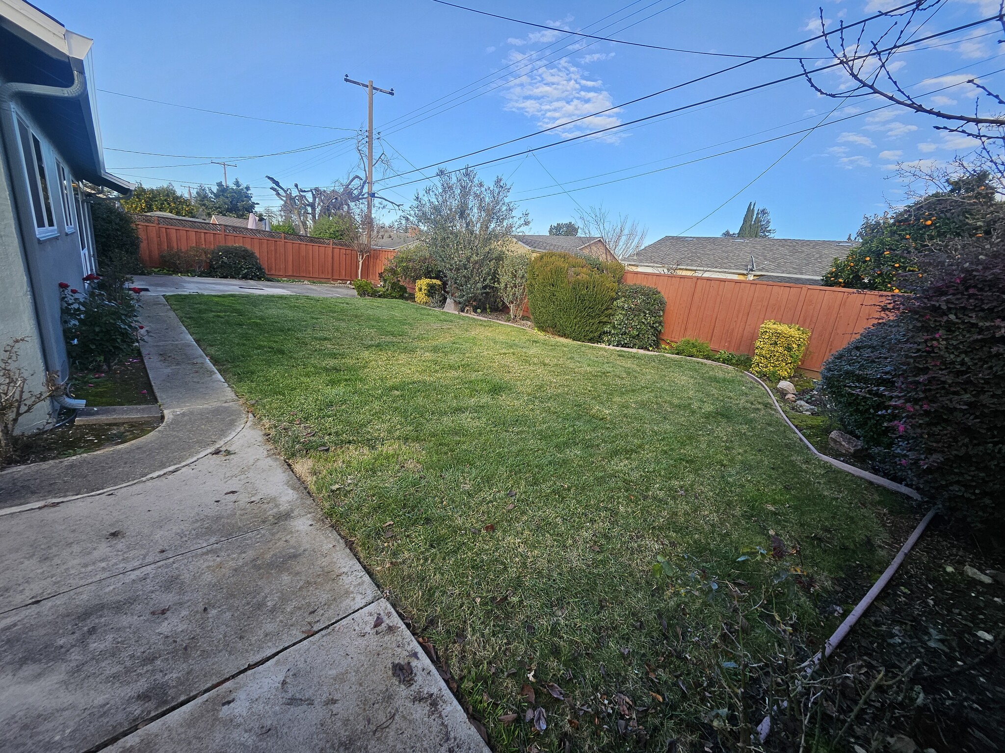 Backyard - 686 Coakley Dr