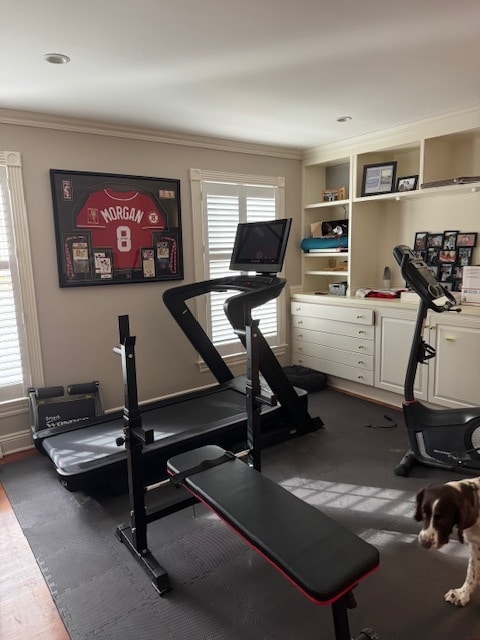 Building Photo - 9675 Rollin Dr