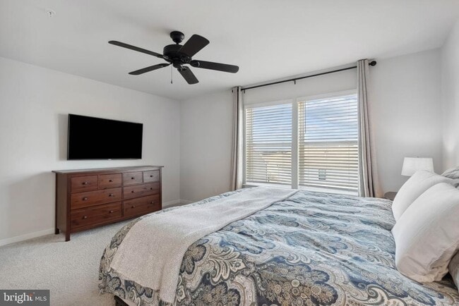 Building Photo - 558 Banquet Ln