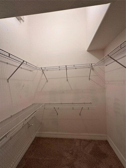Building Photo - 30 Wild Fern Ln