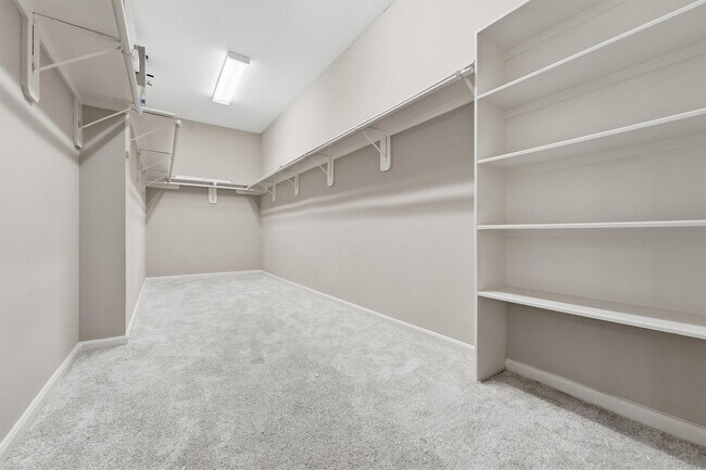 Building Photo - 5507 Opal Cove Ct