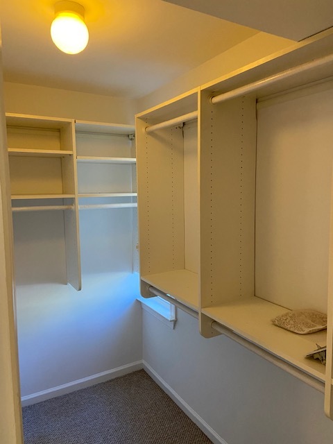 walk-in closet - 1051 Wirewood Dr