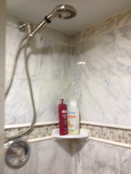 Bathroom - 3905 Brenda Ln