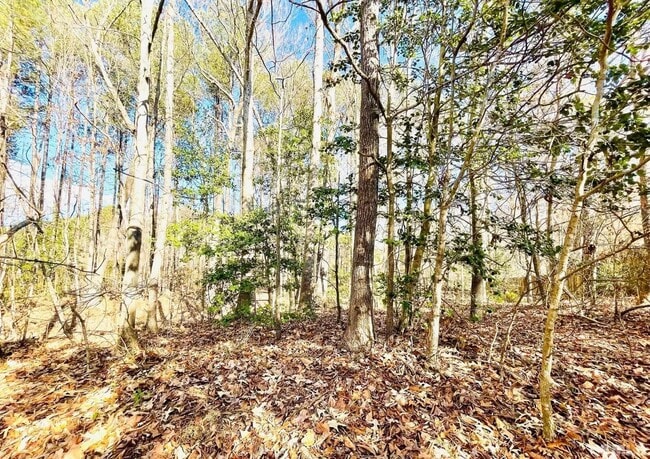 Building Photo - Comfortable 3BD, 2.5BA Raleigh Home with a 1-Car Attached Garage in an HOA Community with Amenities