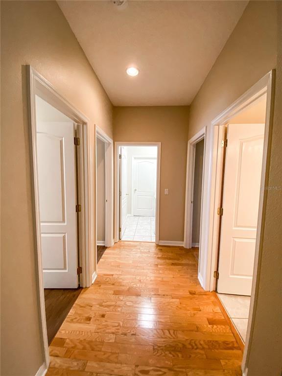 Building Photo - 3289 Red Ash Cir