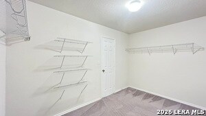 Building Photo - 14003 Knob Crk