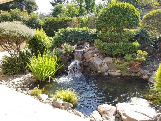 Building Photo - 5 Bed 4 Bath Gated Home In Alamo