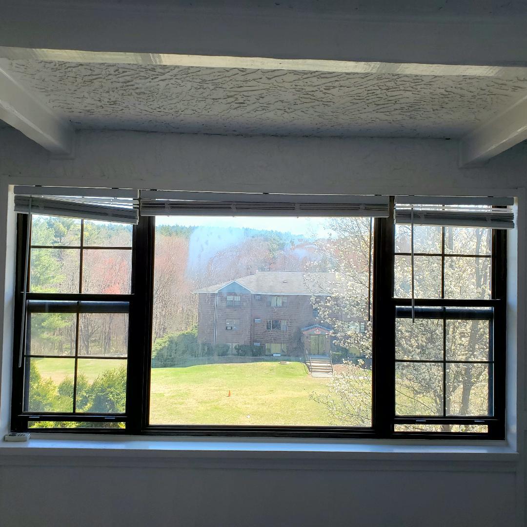 Livingrom picture window - 49 Spencer Rd